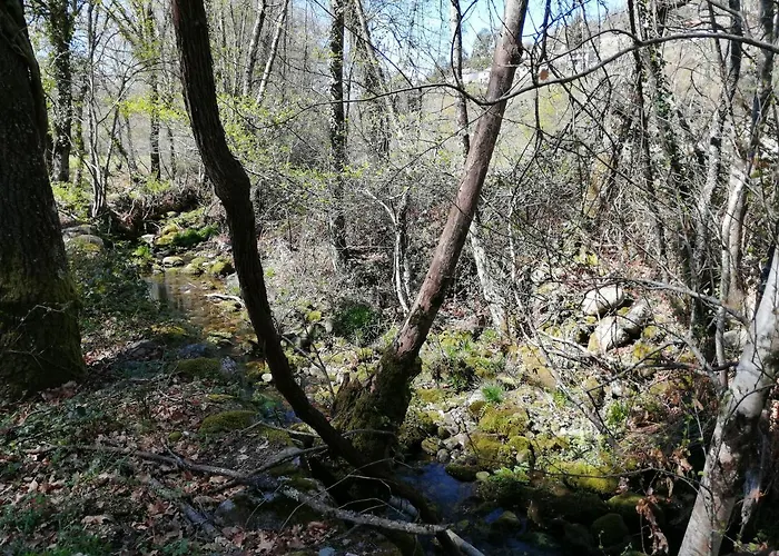 Ferienhaus Casa Do Vale De *