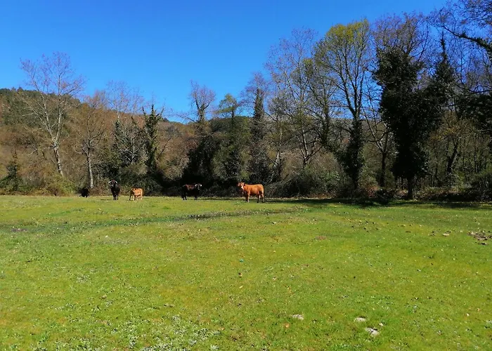 Ferienhaus Casa Do Vale De